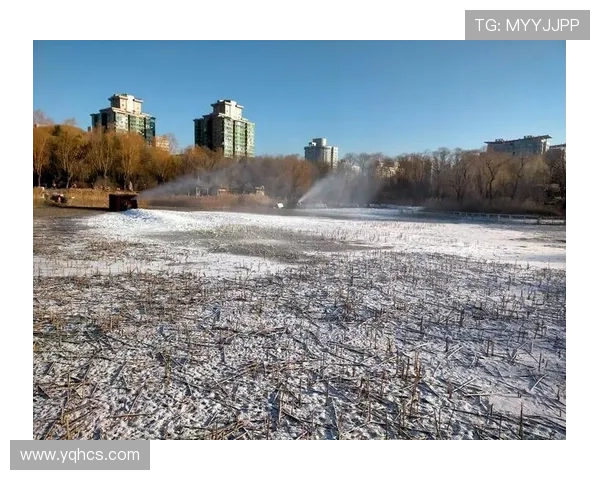 《冬暖花会开》：一部温暖人心的治愈系史诗，带你穿越冰雪，迎接春暖