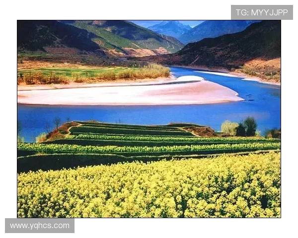 风穿牡丹：一曲荡气回肠的时代赞歌，一幅波澜壮阔的人生画卷
